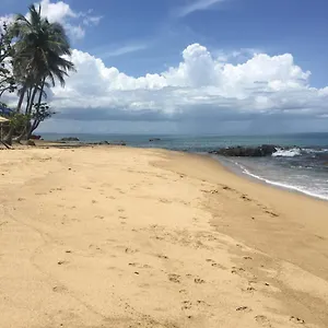 brisas-del-mar-1-1-front-beach-apartment.top-hotels-puertorico.com/